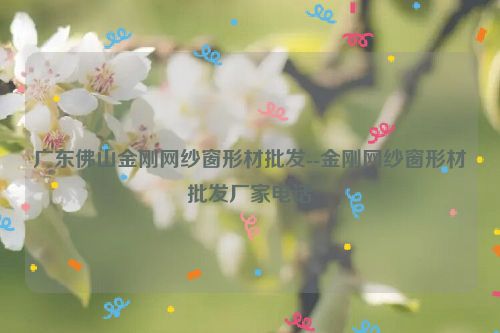 广东佛山金刚网纱窗形材批发--金刚网纱窗形材批发厂家电话