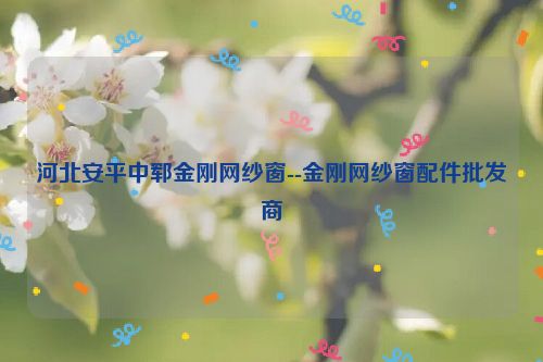 河北安平中郓金刚网纱窗--金刚网纱窗配件批发商