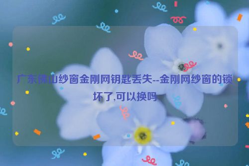 广东佛山纱窗金刚网钥匙丢失--金刚网纱窗的锁坏了,可以换吗