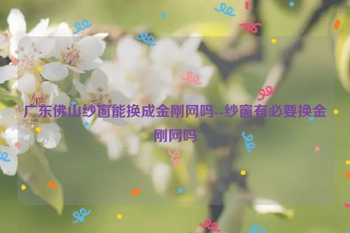 广东佛山纱窗能换成金刚网吗--纱窗有必要换金刚网吗