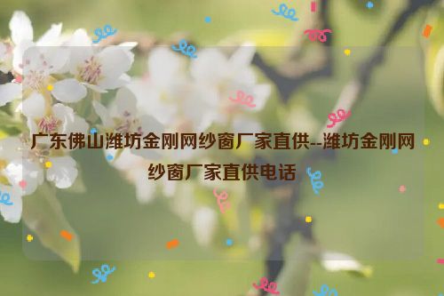 广东佛山潍坊金刚网纱窗厂家直供--潍坊金刚网纱窗厂家直供电话