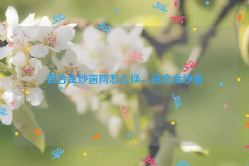 铝合金纱窗网怎么换---铝合金纱窗