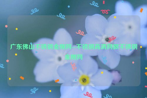 广东佛山不锈钢金刚网--不锈钢高清网跟不锈钢金刚网