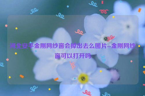 河北安平金刚网纱窗会掉出去么图片--金刚网纱窗可以打开吗