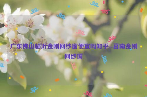 广东佛山临沂金刚网纱窗便宜吗知乎--莒南金刚网纱窗