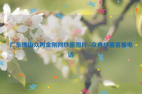 广东佛山众冉金刚网纱窗图片--众冉纱窗客服电话