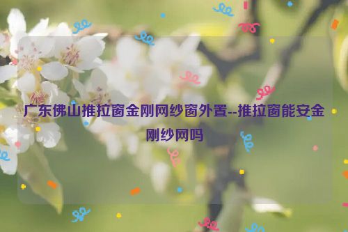 广东佛山推拉窗金刚网纱窗外置--推拉窗能安金刚纱网吗