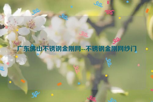 广东佛山不锈钢金刚网--不锈钢金刚网纱门