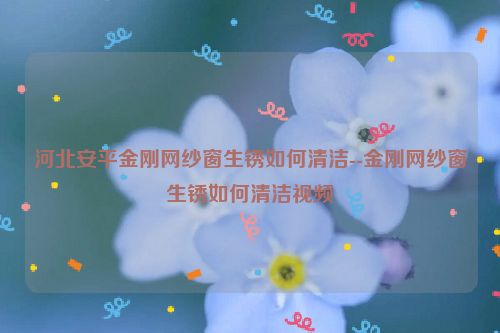 河北安平金刚网纱窗生锈如何清洁--金刚网纱窗生锈如何清洁视频