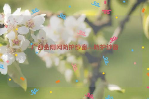 广西金刚网防护纱窗---防护纱窗