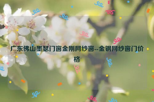 广东佛山墨瑟门窗金刚网纱窗--金钢网纱窗门价格