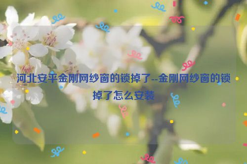 河北安平金刚网纱窗的锁掉了--金刚网纱窗的锁掉了怎么安装