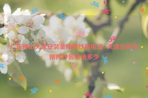 广东佛山天津安装金刚网纱窗电话--天津安装金刚网纱窗电话多少