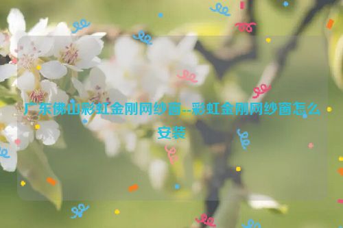 广东佛山彩虹金刚网纱窗--彩虹金刚网纱窗怎么安装