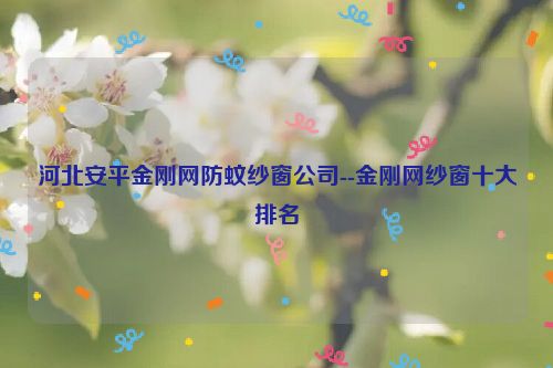 河北安平金刚网防蚊纱窗公司--金刚网纱窗十大排名