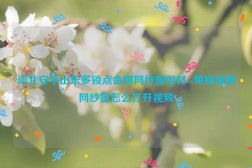 河北安平山东多锁点金刚网纱窗型材--带锁金刚网纱窗怎么打开视频