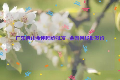 广东佛山金刚网纱批发--金刚网纱批发价