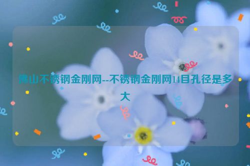 佛山不锈钢金刚网--不锈钢金刚网14目孔径是多大