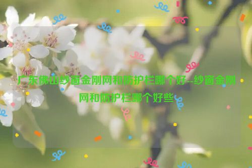 广东佛山纱窗金刚网和防护栏哪个好--纱窗金刚网和防护栏哪个好些