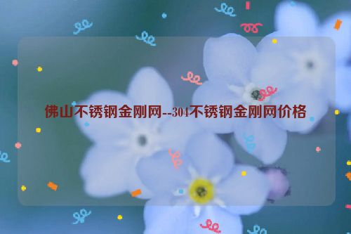 佛山不锈钢金刚网--304不锈钢金刚网价格