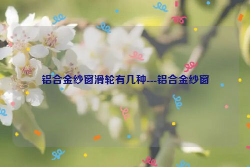 铝合金纱窗滑轮有几种---铝合金纱窗