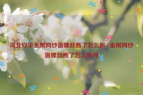 河北安平金刚网纱窗螺丝断了怎么拆--金刚网纱窗螺丝断了怎么拆开