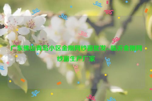 广东佛山青岛小区金刚网纱窗批发--临沂金刚网纱窗生产厂家