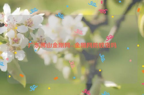 广东佛山金刚网--金刚网防蚊虫吗