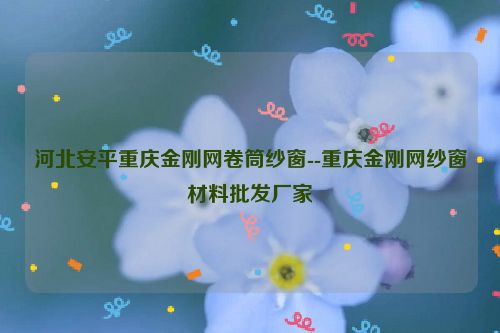 河北安平重庆金刚网卷筒纱窗--重庆金刚网纱窗材料批发厂家