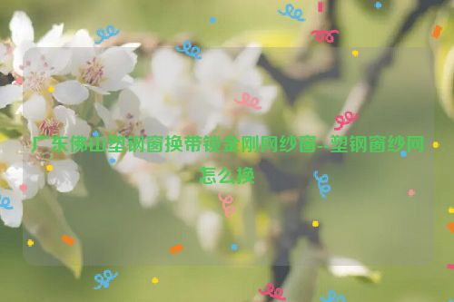 广东佛山塑钢窗换带锁金刚网纱窗--塑钢窗纱网怎么换