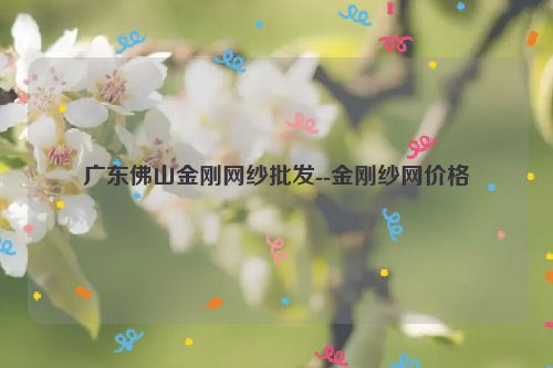 广东佛山金刚网纱批发--金刚纱网价格