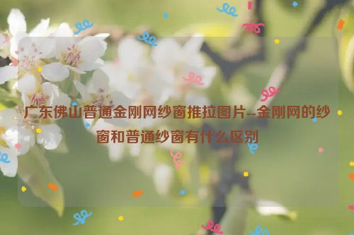 广东佛山普通金刚网纱窗推拉图片--金刚网的纱窗和普通纱窗有什么区别