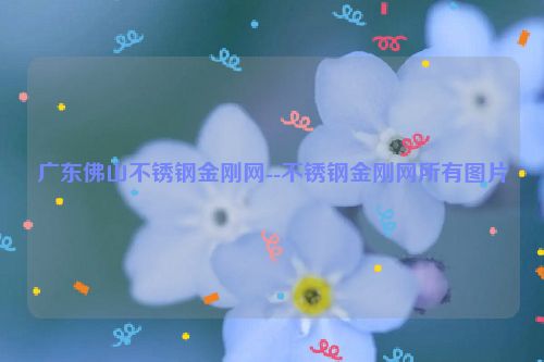 广东佛山不锈钢金刚网--不锈钢金刚网所有图片