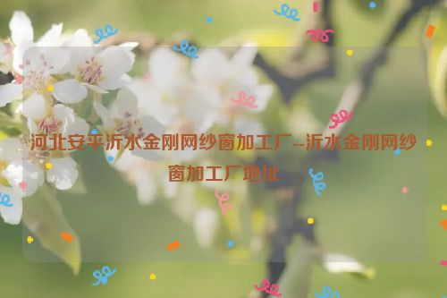 河北安平沂水金刚网纱窗加工厂--沂水金刚网纱窗加工厂地址