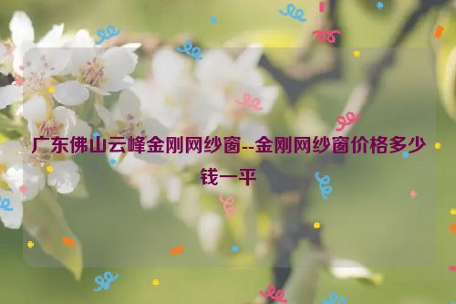 广东佛山云峰金刚网纱窗--金刚网纱窗价格多少钱一平