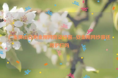 广东佛山安利金刚网防盗纱窗--安金刚网纱窗还用护栏吗