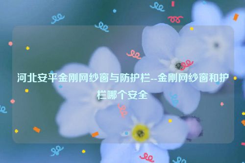 河北安平金刚网纱窗与防护栏--金刚网纱窗和护栏哪个安全