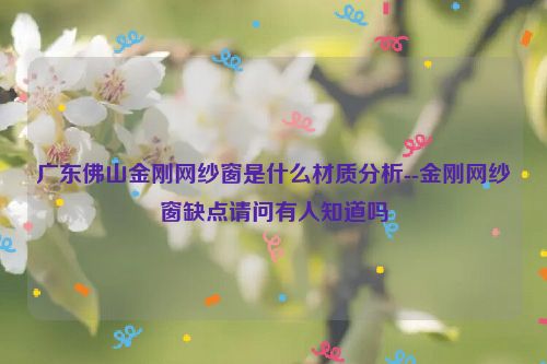 广东佛山金刚网纱窗是什么材质分析--金刚网纱窗缺点请问有人知道吗