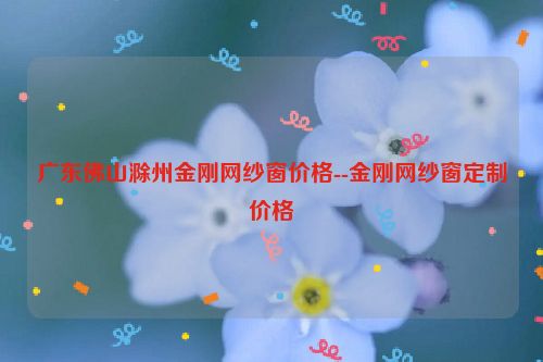 广东佛山滁州金刚网纱窗价格--金刚网纱窗定制价格