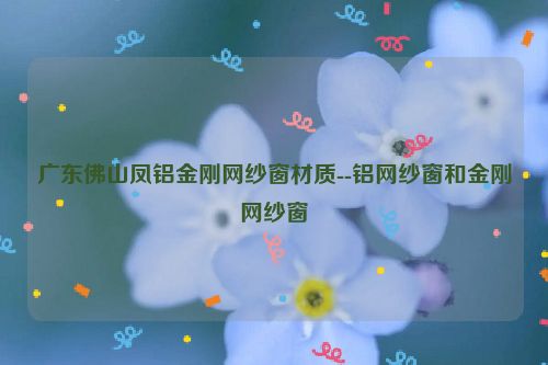 广东佛山凤铝金刚网纱窗材质--铝网纱窗和金刚网纱窗