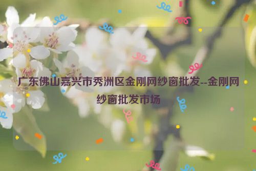 广东佛山嘉兴市秀洲区金刚网纱窗批发--金刚网纱窗批发市场