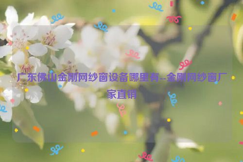 广东佛山金刚网纱窗设备哪里有--金刚网纱窗厂家直销