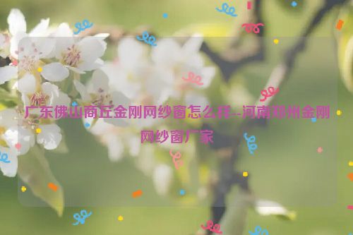 广东佛山商丘金刚网纱窗怎么样--河南郑州金刚网纱窗厂家