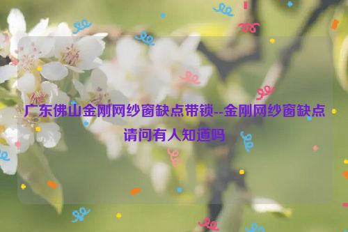 广东佛山金刚网纱窗缺点带锁--金刚网纱窗缺点请问有人知道吗