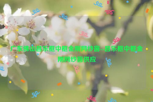 广东佛山昌乐框中框金刚网纱窗--昌乐框中框金刚网纱窗供应