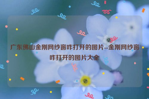 广东佛山金刚网纱窗咋打开的图片--金刚网纱窗咋打开的图片大全