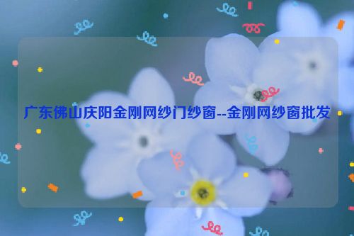 广东佛山庆阳金刚网纱门纱窗--金刚网纱窗批发