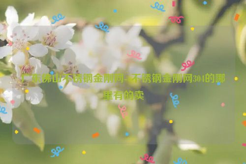 广东佛山不锈钢金刚网--不锈钢金刚网304的哪里有的卖