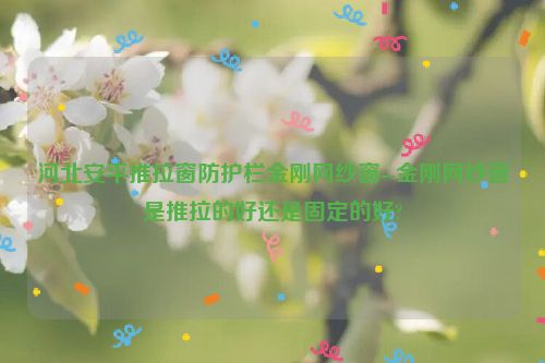 河北安平推拉窗防护栏金刚网纱窗--金刚网纱窗是推拉的好还是固定的好?