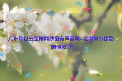 广东佛山安金刚网纱窗有声音吗--金刚网纱窗影响通风吗